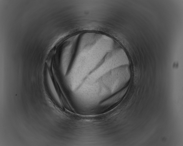 X0000090950482200708241132