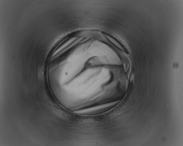X0000090950483200708241132
