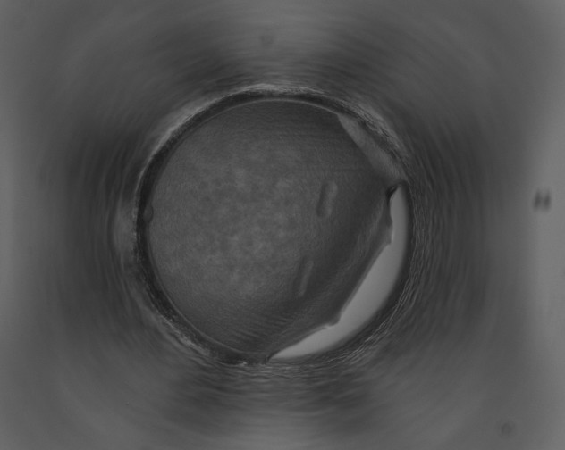 X0000090950484200708241132