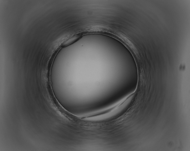 X0000090950485200708241132