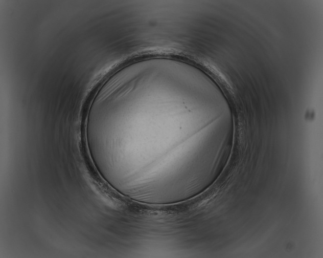 X0000090950486200708241132