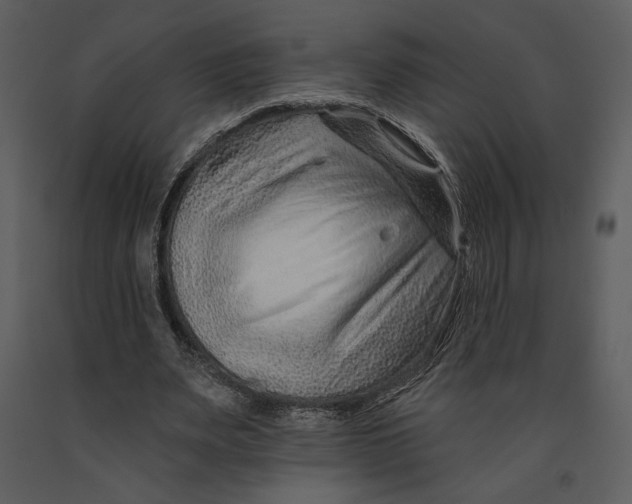 X0000090950487200708241132