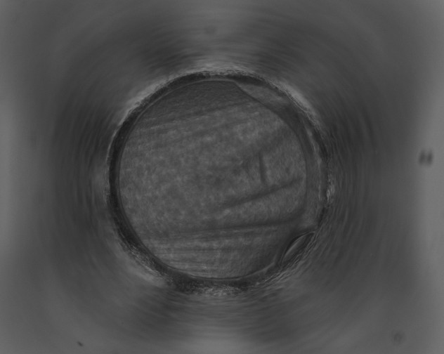 X0000090950488200708241132