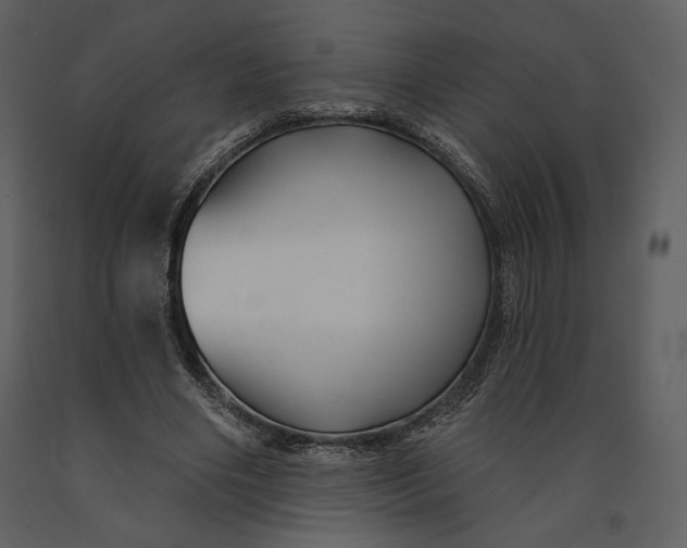X0000090950490200708241132