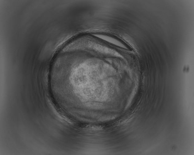 X0000090950491200708241132