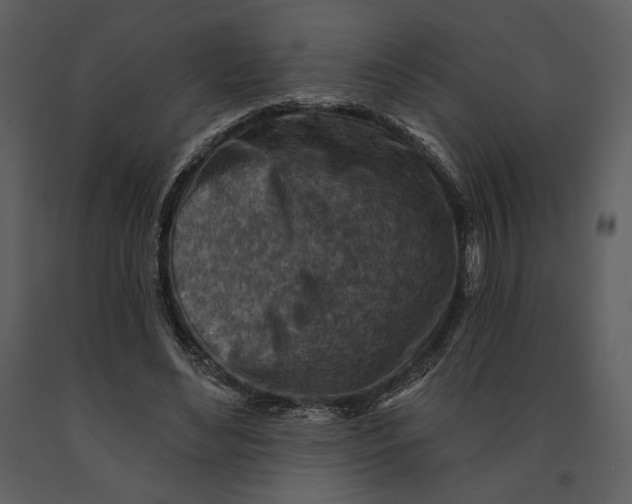 X0000090950492200708241132