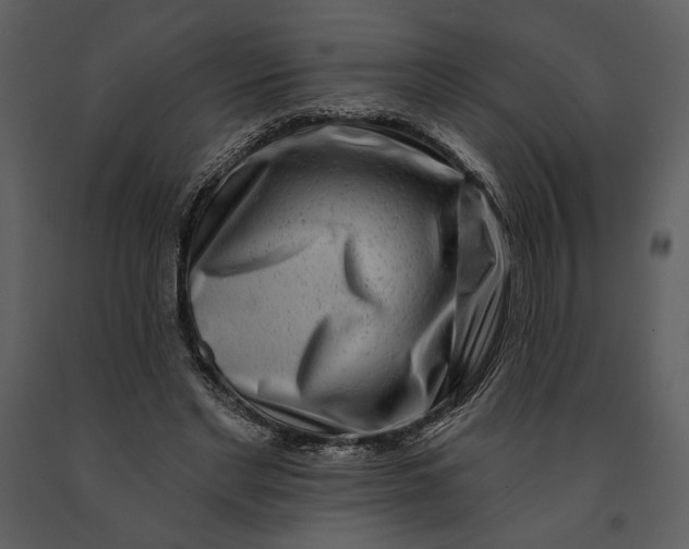X0000090950493200708241132