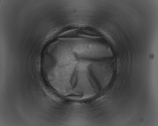 X0000090950494200708241132