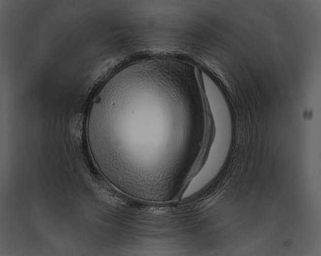 X0000090950495200708241132