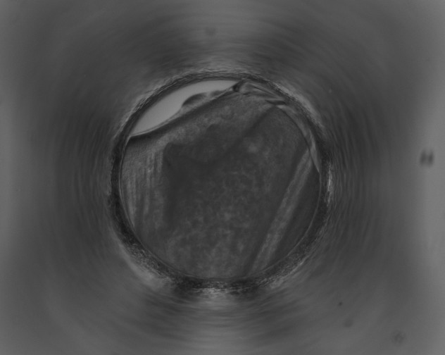 X0000090950496200708241132