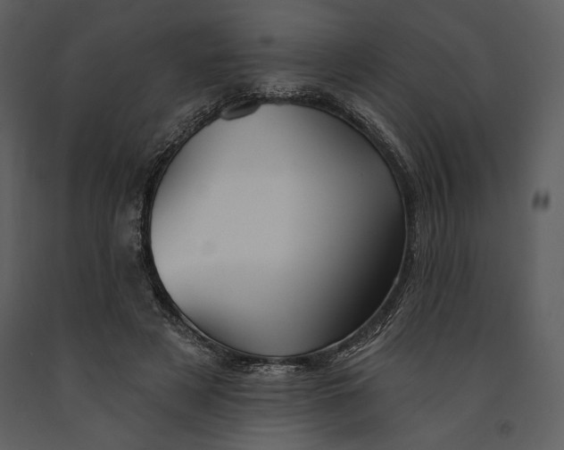 X0000090950497200708241132