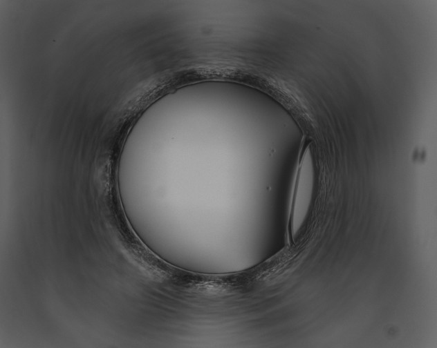 X0000090950498200708241132