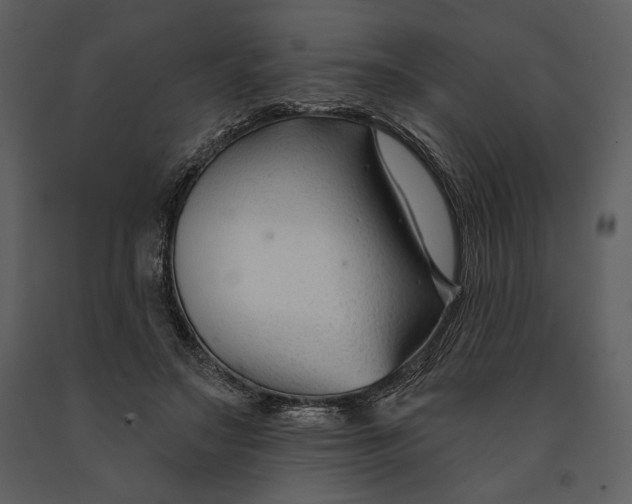 X0000090950499200708241132