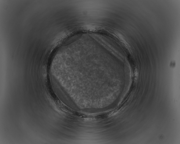 X0000090950500200708241132
