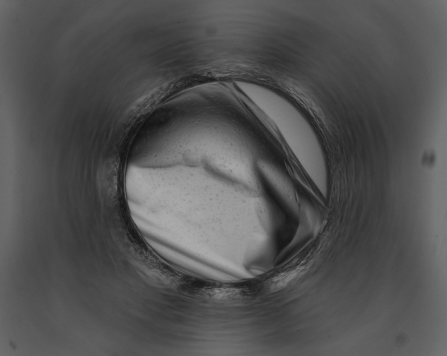 X0000090950501200708241132