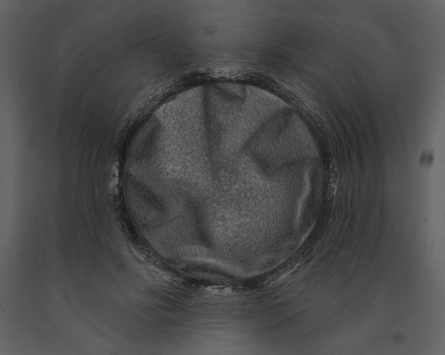 X0000090950502200708241132