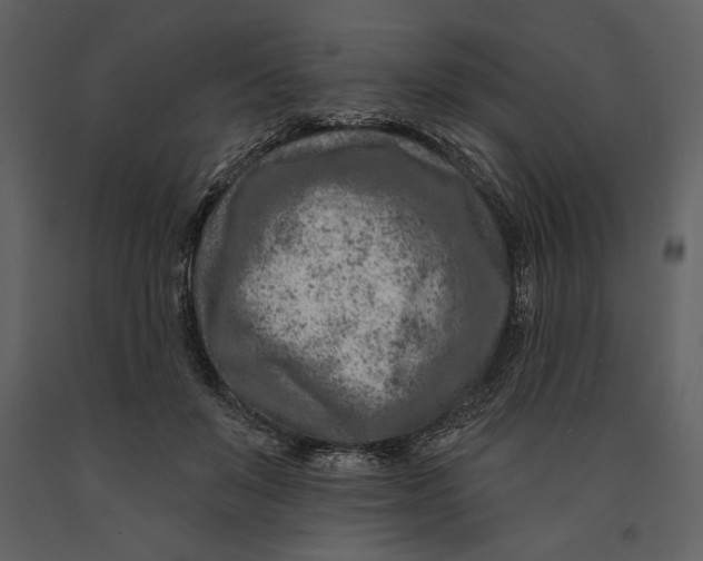 X0000090950503200708241132