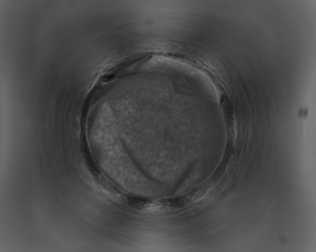 X0000090950504200708241132