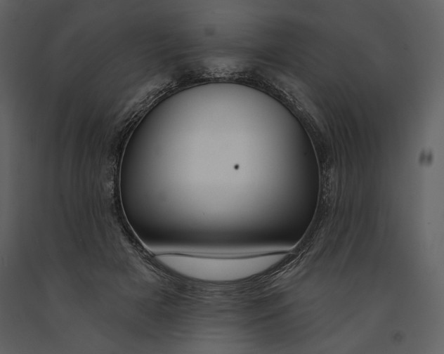 X0000090950505200708241132