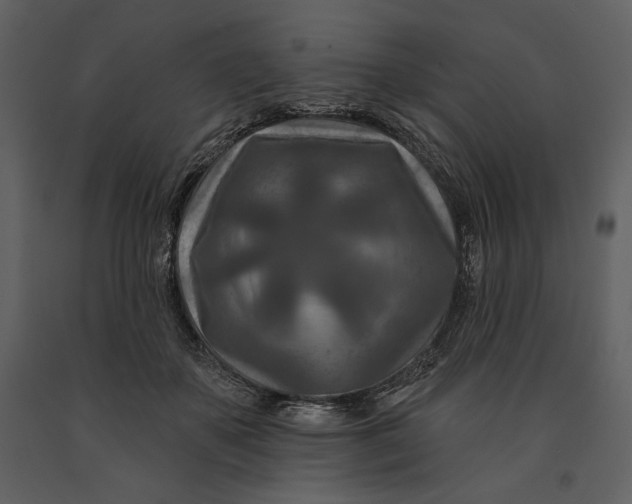 X0000090950507200708241132