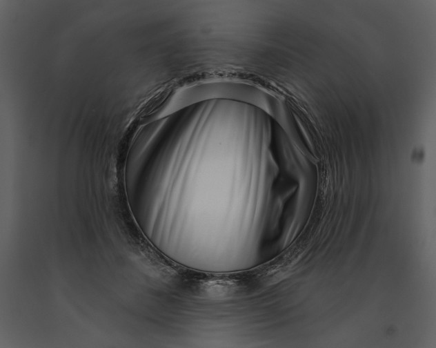 X0000090950508200708241132