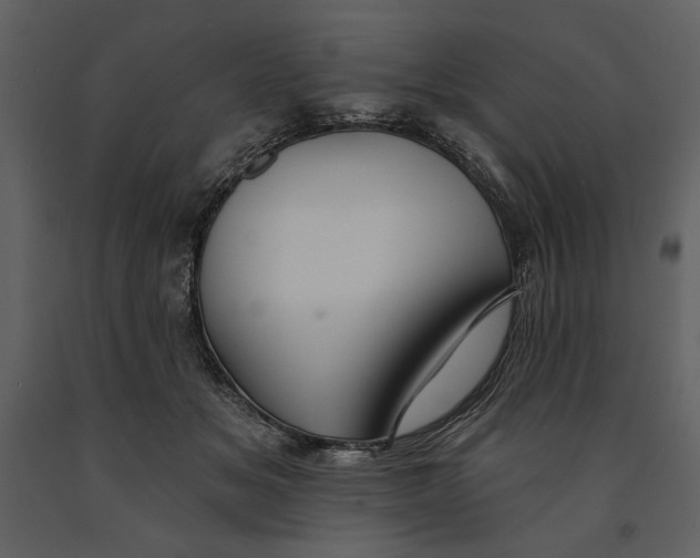 X0000090950509200708241132