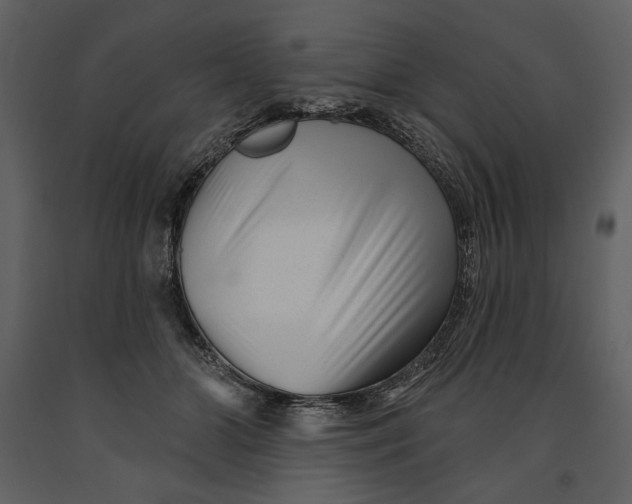 X0000090950510200708241132