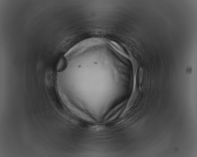 X0000090950511200708241132