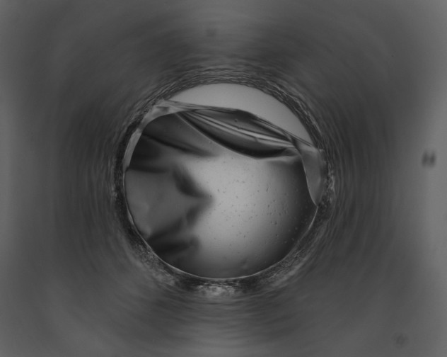 X0000090950512200708241132
