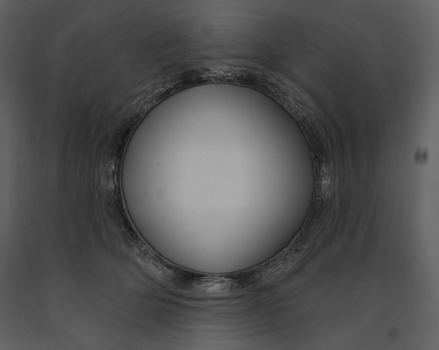 X0000090950514200708241132