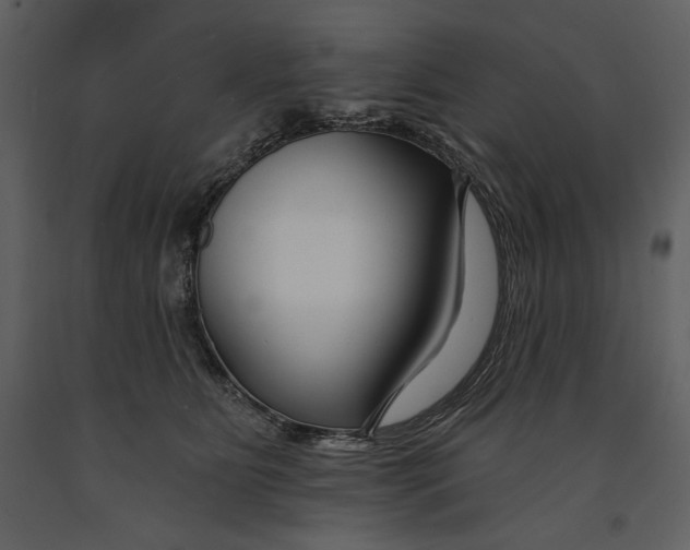 X0000090950515200708241132
