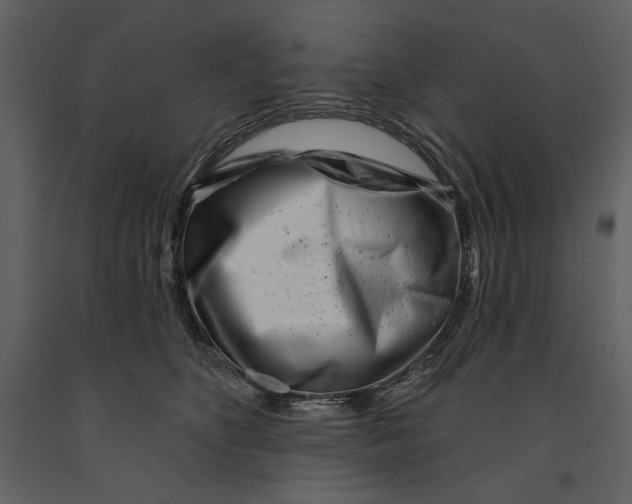 X0000090950516200708241132