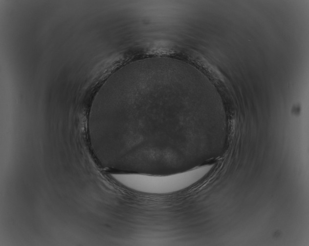 X0000090950517200708241132