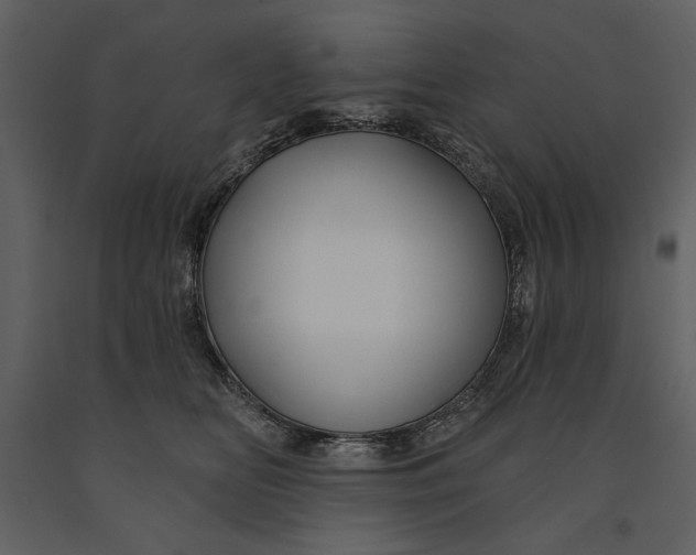 X0000090950518200708241132