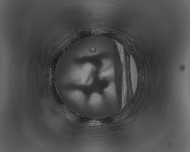 X0000090950519200708241132