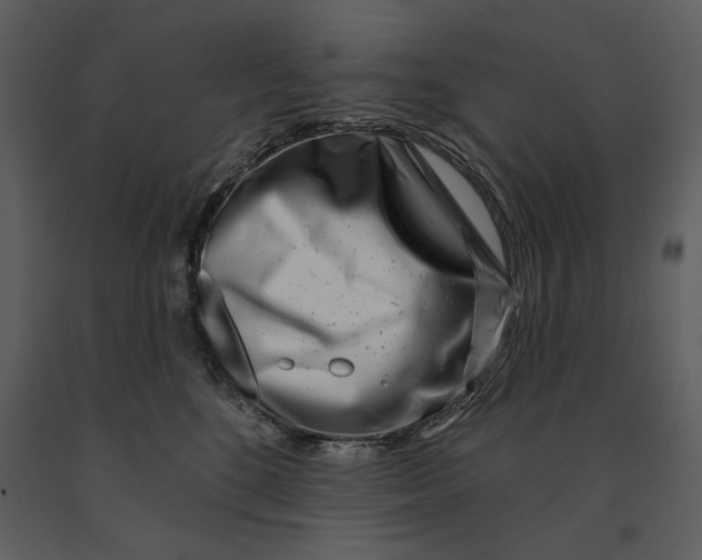 X0000090950520200708241132
