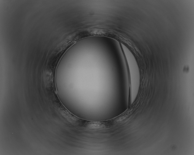 X0000090950521200708241132