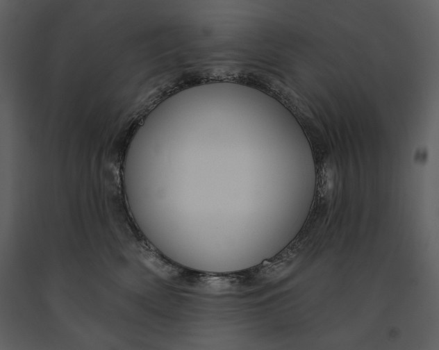 X0000090950522200708241132