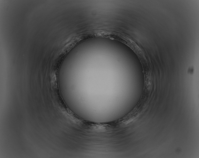 X0000090950523200708241132