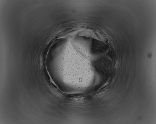 X0000090950524200708241132