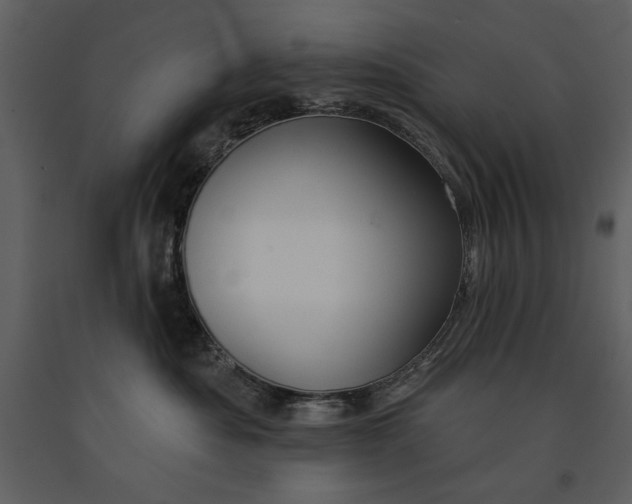 X0000090950525200708241132