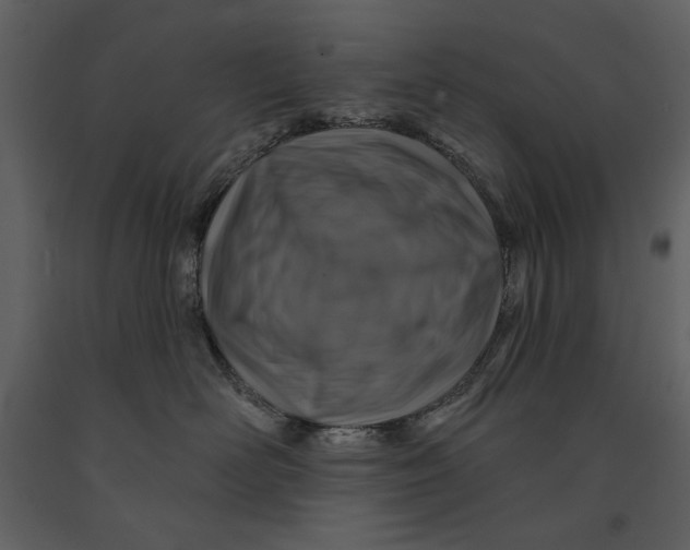 X0000090950526200708241132