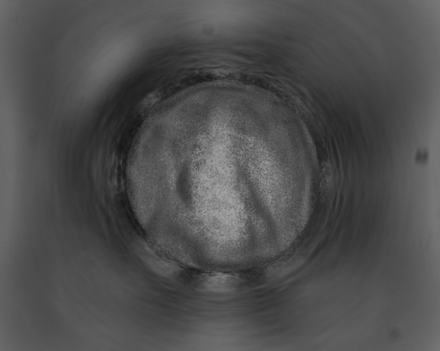 X0000090950527200708241132