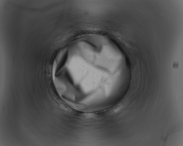 X0000090950528200708241132