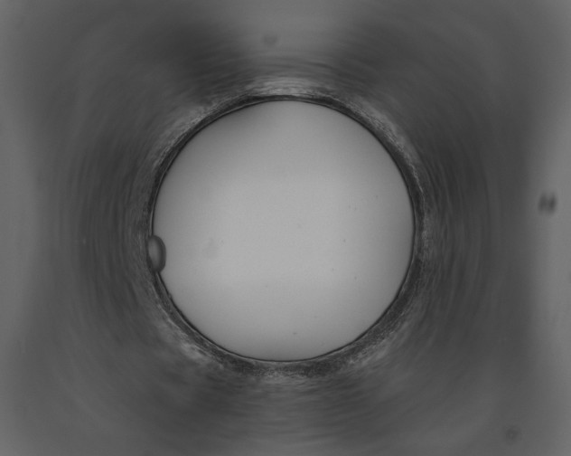 X0000090950529200708241131