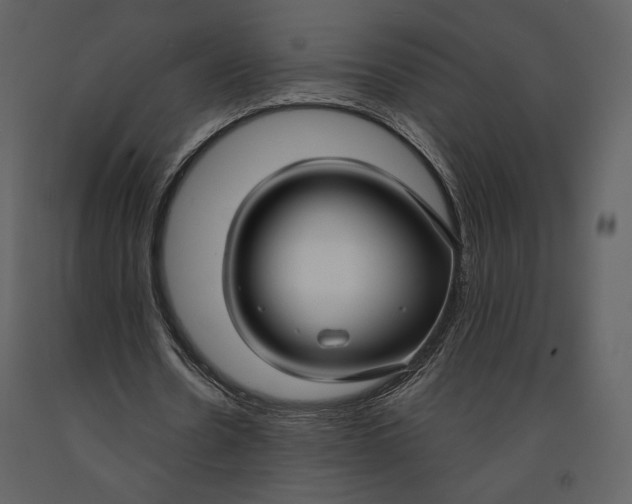X0000090950530200708241131