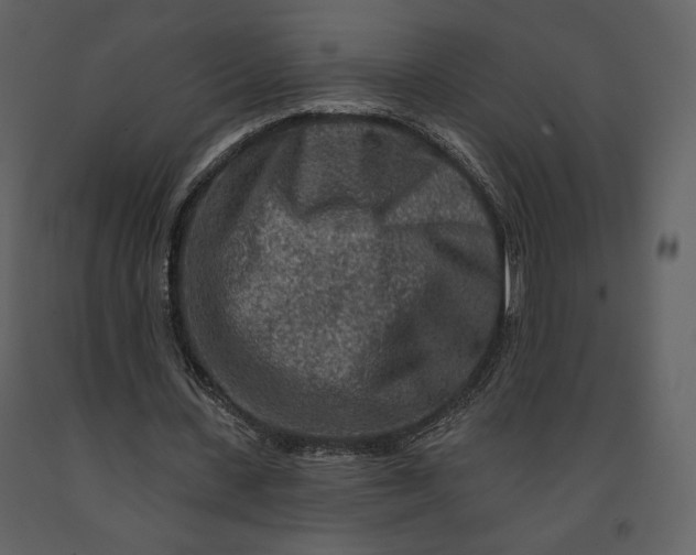 X0000090950531200708241131