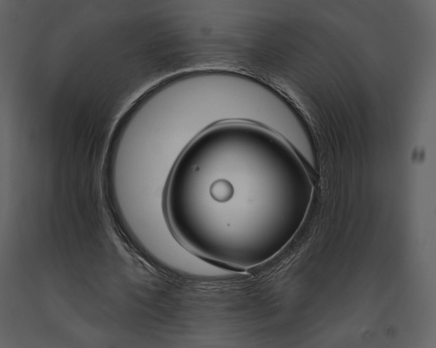 X0000090950532200708241131