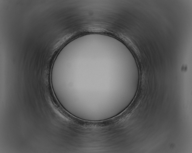 X0000090950533200708241131