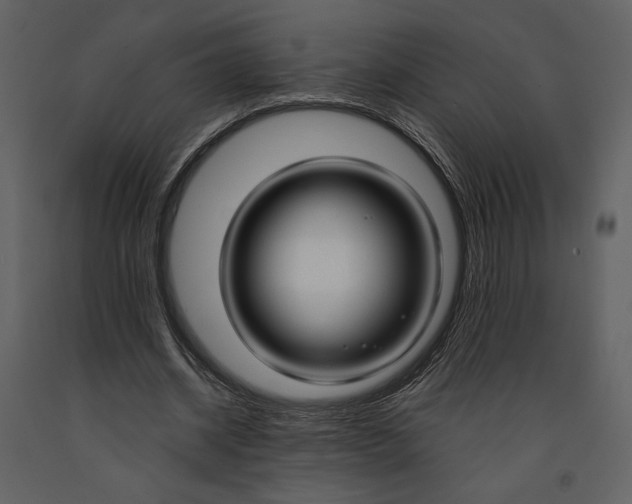 X0000090950534200708241131